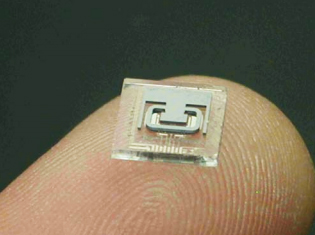 Fig. 2. A decapped, MEMS chip, on a finger tip, showing the microtube and metal pattern. 